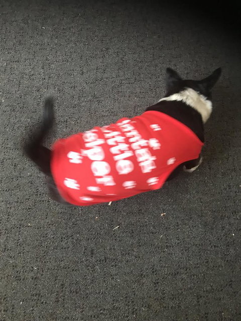 Nanango Star Motel - Foster Accommodation 2