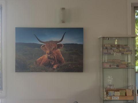 Highland House - Foster Accommodation 4