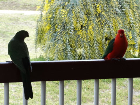 Loughmore House - Foster Accommodation 9