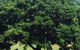 Montville Holiday Apartments - thumb 20