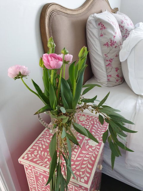 Webster Terrace - Foster Accommodation 1