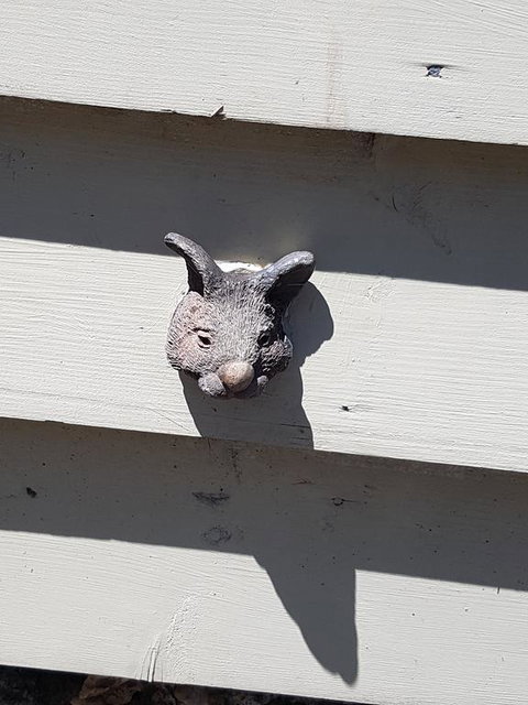 Webster Terrace - Foster Accommodation 2