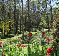 Werekataba - Foster Accommodation