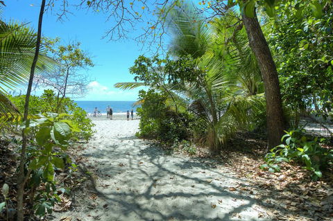 Whispering Palms - Foster Accommodation 1