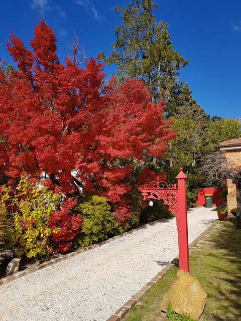 Winston Cottage At Three Sisters - Foster Accommodation 1