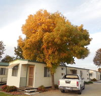 Wodonga Caravan  Cabin Park - Foster Accommodation