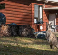 Wonderland Cottages - Foster Accommodation