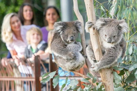 A 3BR Apt Next To Melbourne Zoo FREE Parking - Foster Accommodation 2