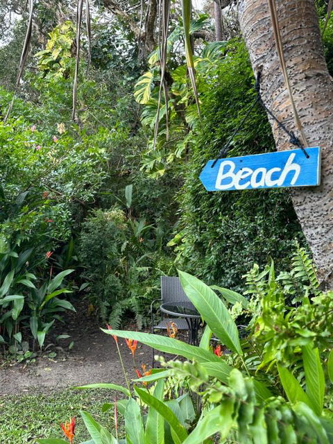 Absolute Beach Front Home -Dogs, Surf, Relax, Bush - Foster Accommodation 2