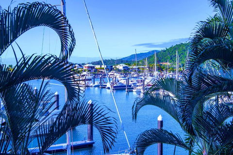 Absolute Luxury Marina Lifestyle At The Port Of Airlie Beach - Foster Accommodation 4