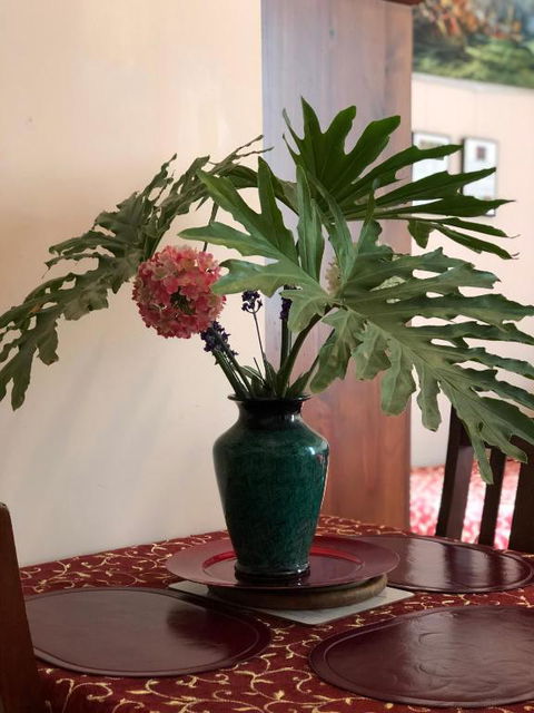 Albany Foreshore Guest House - Foster Accommodation 2