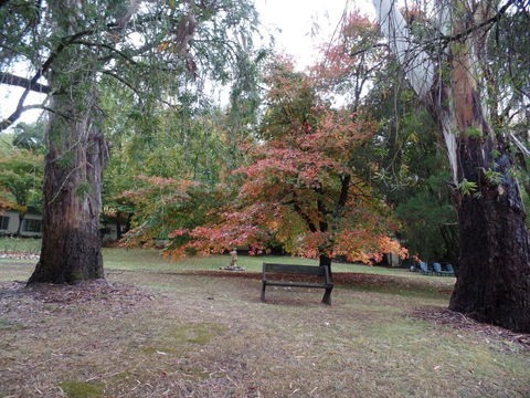 Alpine Riverside Cottages - Foster Accommodation 4
