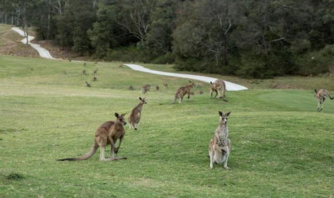 Anglesea River Apartment 22 - Foster Accommodation 4