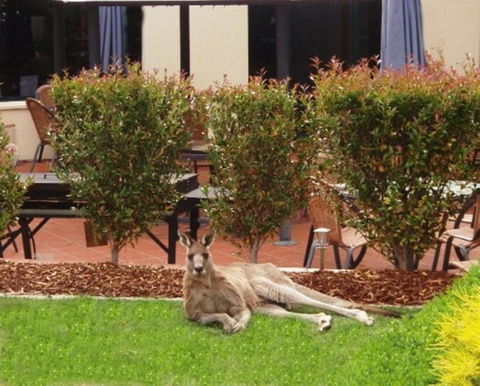 Alpha Hotel Canberra - Foster Accommodation 3