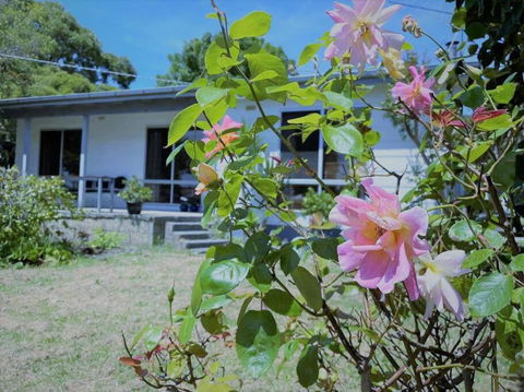 Apollo Bay Holiday House - Foster Accommodation 1