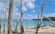 ARay At Cooee Bay - Apt B - Beach House Yeppoon - thumb 1