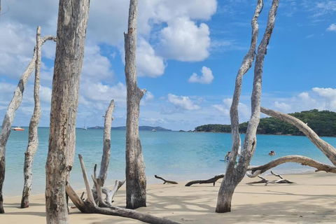 ARay At Cooee Bay - Apt B - Beach House Yeppoon - Foster Accommodation 1