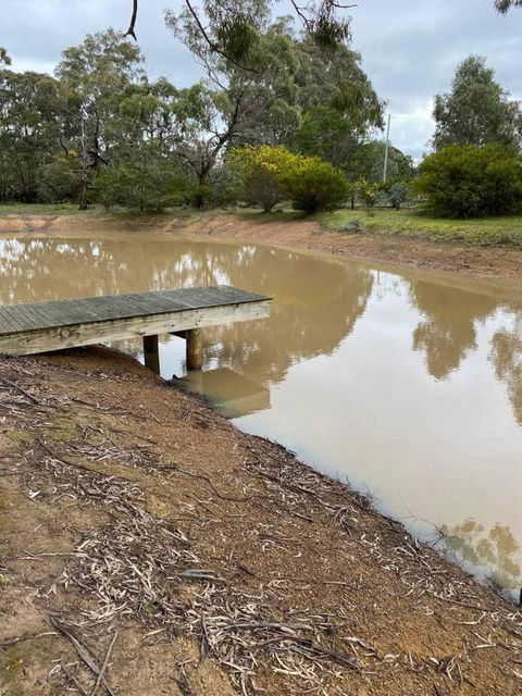 Aurora Cottages - Bellfield - Foster Accommodation 3