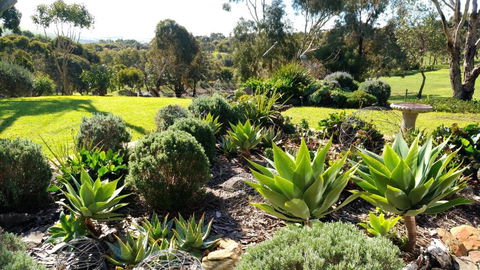 Austiny Bed And Breakfast Victor Harbor - Foster Accommodation 2