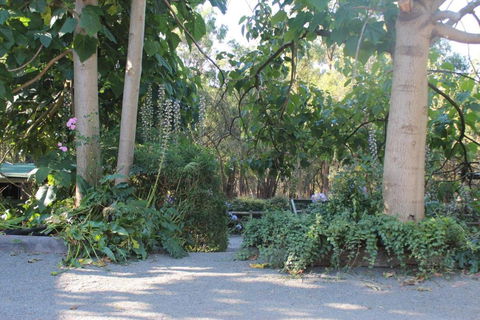 Avoca Park Equestrian Farmstay - Foster Accommodation 2
