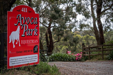 Avoca Park Equestrian Farmstay - Foster Accommodation 0
