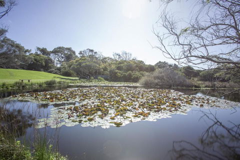 Apollo Bay Cottages- Sabine - Foster Accommodation 4
