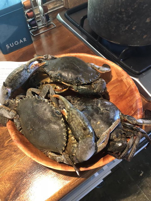 Cairns Beach House Our Oasis - Foster Accommodation 4