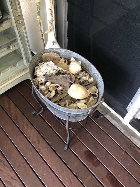 Cairns Beach House Our Oasis - Foster Accommodation 38