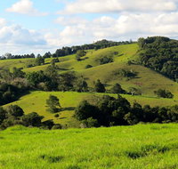 Maleny Springs Farm - Foster Accommodation