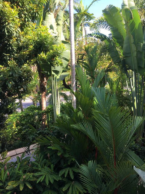 Port Douglas Apartments - Adults Only Oasis - Foster Accommodation 1