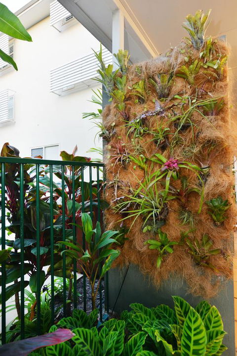 Port Douglas Apartments - Adults Only Oasis - Foster Accommodation 27