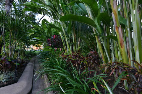 Port Douglas Apartments - Adults Only Oasis - Foster Accommodation 9