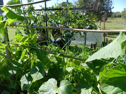 Hay Point Country BnB - Foster Accommodation 17