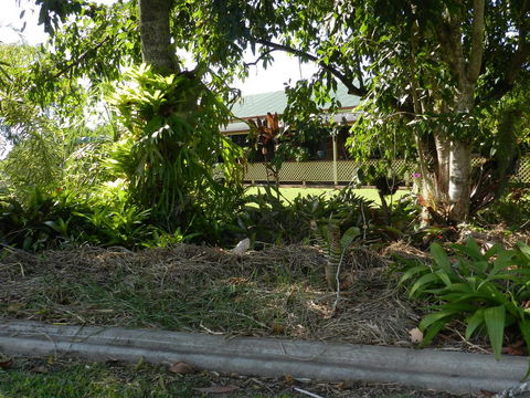 Hay Point Country BnB - Foster Accommodation 23