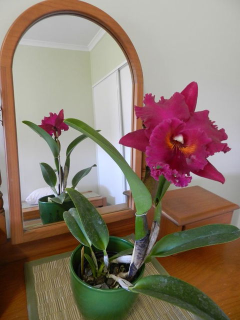 Hay Point Country BnB - Foster Accommodation 10