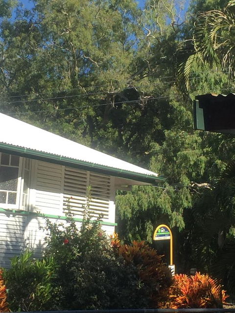Daggoombah Holiday Home Magnetic Island - Foster Accommodation 15