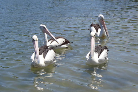 Keith's Sister - Foster Accommodation 42