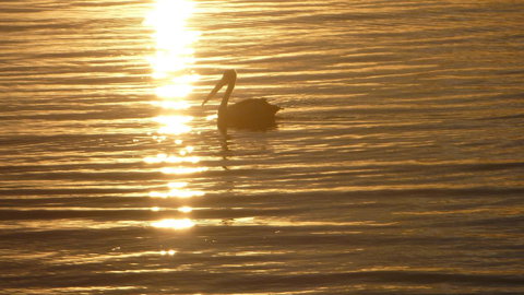 Keith's Sister - Foster Accommodation 44