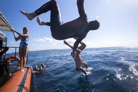 Manta Lodge YHA & Scuba Centre - Foster Accommodation 11