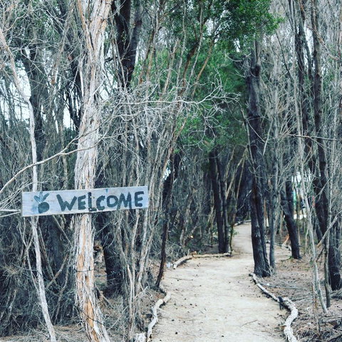 Flinders Island Glamping - Foster Accommodation 0