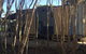 Flinders Island Glamping - thumb 14