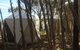 Flinders Island Glamping - thumb 7