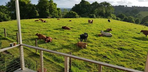 Seasons Of Maleny B&B - Foster Accommodation 1