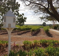 'In The Vines' Guest Cottage Barossa Valley - Foster Accommodation