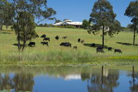 Book Nabiac Accommodation Vacations Foster Accommodation Foster Accommodation