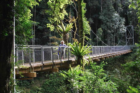 BIG4 Tasman Holiday Parks - Nambucca Heads - Foster Accommodation 2
