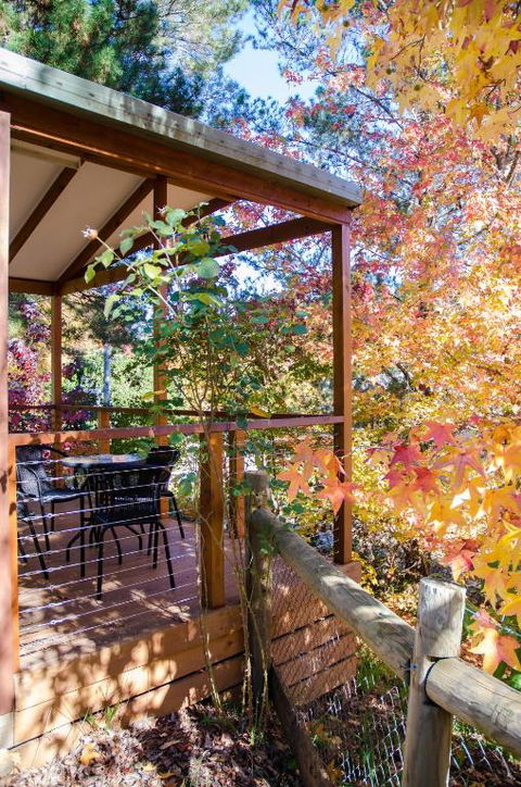 BIG4 Tasman Holiday Parks - Bright - Foster Accommodation 1