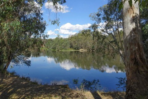 BIG4 Seymour Holiday Park - Foster Accommodation 4