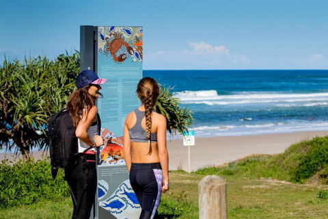 BIG4 Tasman Holiday Parks - Ballina - Foster Accommodation 3
