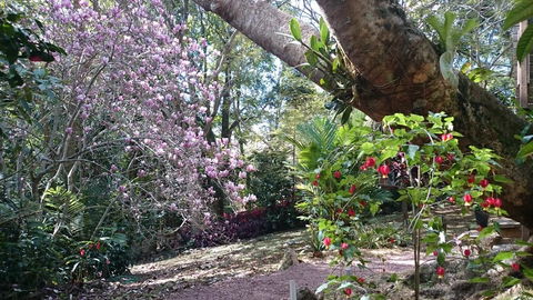 305 Montville - The Artist's Cottage - Foster Accommodation 3